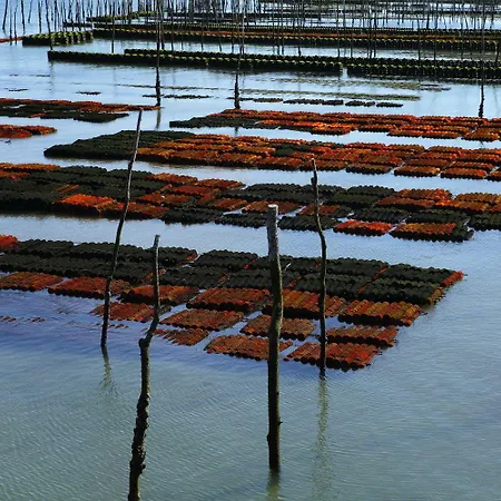 מלון Cote Sable Lège-Cap-Ferret