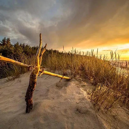 Cote Sable מלון 4*