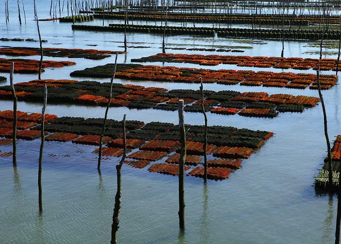 Hotel Cote Sable Lège-Cap-Ferret
